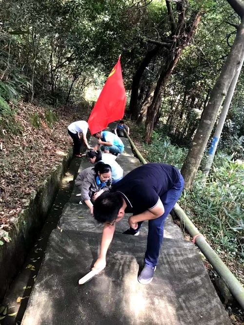 陳宏金：不忘初心 牢記使命，永春分公司組織機(jī)關(guān)黨員清理上下班臺(tái)階的青苔1.jpg