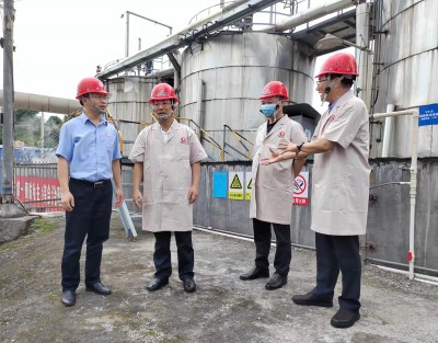 格式工廠省機電控股公司黨委副書記、總經(jīng)理董飛龍，黨委委員、副總經(jīng)理吳大文在永安雙華公�?.jpg
