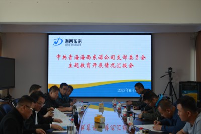 格式工廠青海東諾公司 張玉�?主題教育匯報會議1.jpg