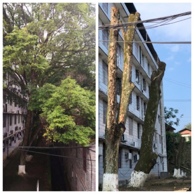 烽林崔愛新：海峽科化烽林分公司黨委多措并舉推進(jìn)“我為群眾辦實(shí)事”活動落地見�?.jpg